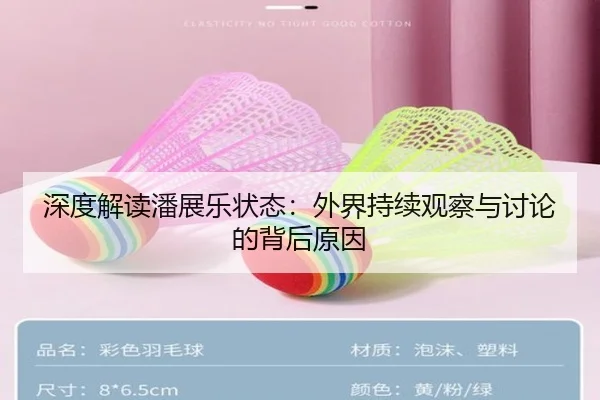 深度解读潘展乐状态：外界持续观察与讨论的背后原因